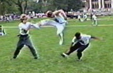 Larry Farwell kungfu combat